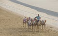 camels in Rub al Khali Desert at the Empty Quarter, in Abu Dhabi, UAE