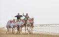 camels in Rub al Khali Desert at the Empty Quarter, in Abu Dhabi, UAE