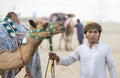 camels in Rub al Khali Desert at the Empty Quarter, in Abu Dhabi, UAE