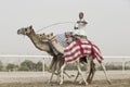 camels in Rub al Khali Desert at the Empty Quarter, in Abu Dhabi, UAE