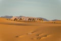 Camels in the Sahara desert in Merzouga. Morocco
