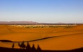 Camels. Sahara Desert. Merzouga Morocco Royalty Free Stock Photo