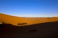 Camels. Sahara Desert. Merzouga Morocco Royalty Free Stock Photo