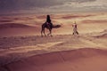 Camels on the sand dunes in the Sahara Desert. Morocco, Africa. Royalty Free Stock Photo