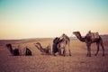 Camels on the sand dunes in the Sahara Desert. Morocco, Africa. Royalty Free Stock Photo