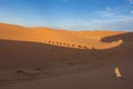 Of camels on the sand in Sahara desert, Erg Chebbi, Merzouga, Morocco Royalty Free Stock Photo