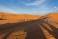 Of camels on the sand in Sahara desert, Erg Chebbi, Merzouga, Morocco Royalty Free Stock Photo