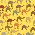 Camels seamless pattern. Background of desert animals. Vector or