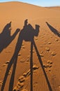 Camels shadows over Erg Chebbi at Morocco Royalty Free Stock Photo