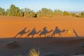 Camels shadows over Erg Chebbi at Morocco Royalty Free Stock Photo