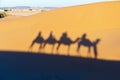 Camels shadows over Erg Chebbi at Morocco Royalty Free Stock Photo