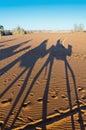 Camels shadows over Erg Chebbi at Morocco Royalty Free Stock Photo