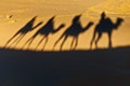 Camels shadows over Erg Chebbi at Morocco Royalty Free Stock Photo