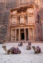Camels sit in front of the Treasury Al-Khazneh at the ancient site of Petra in Jordan. Royalty Free Stock Photo