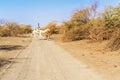 Camels in Sudan