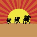 Camels on sundown