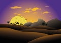Camels in sunset desert