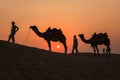 Camels and Sunset at Thar Desert