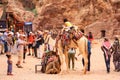 Camels and tourists in Petra, Jordan Royalty Free Stock Photo