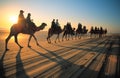 Camels Royalty Free Stock Photo
