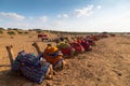 Camels with traditioal dresses, waiting in series for tourists for camel ride at Thar desert, Rajasthan, India. Camels,