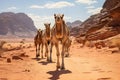 Camels in Wadi Rum desert, Jordan. Travel and adventure concept, Camels in Wadi Rum desert, Jordan, photographed on a summer day,