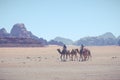 Camels at Wadi Rum desert landscape,Jordan Royalty Free Stock Photo