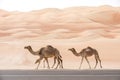 Camels walking along an asphalt road.