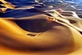 Camels walking in desert Royalty Free Stock Photo