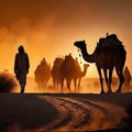 Camels walking by with the human during sunrise in Indian desert