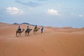 Camels walking on sand dunes during sunset in Erg Chebbi desert, near Merzouga, Sahara Desert Royalty Free Stock Photo