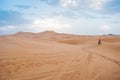 Camels walking on sand dunes during sunset in Erg Chebbi desert, near Merzouga, Sahara Desert Royalty Free Stock Photo