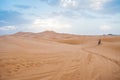 Camels walking on sand dunes during sunset in Erg Chebbi desert, near Merzouga, Sahara Desert. Royalty Free Stock Photo