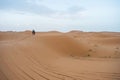 Camels walking on sand dunes during sunset in Erg Chebbi desert, near Merzouga, Sahara Desert. Royalty Free Stock Photo