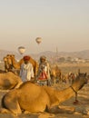 Camels were traded in Pushkar Camel Fair in India