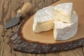 Camembert Royalty Free Stock Photo