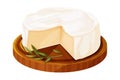 Camembert cheese, brie french soft creamy food on wooden tray in cartoon style isolated on white background. Royalty Free Stock Photo