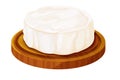 Camembert cheese, brie french soft creamy food on wooden tray in cartoon style isolated on white background.