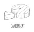 Camembert cheese dairy product sketch drawing