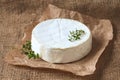 Camembert cheese delicious round french dairy food
