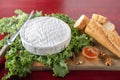 Camembert cheese on green salade