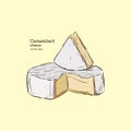 Camembert cheese, hand draw sketch vector.