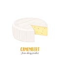 Camembert cheese icon