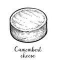 Camembert cheese ink sketch