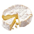 Camembert cheese isolated on transparent background. Top view.