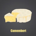 Camembert cheese slise and head color flat icon