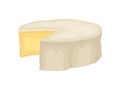 Camembert cheese on white background. Vector illustration.