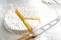 Camembert cheese on wrapping paper. French cheese with mold on the surface Royalty Free Stock Photo