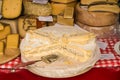 Camembert de Normandie and other kinds of cheese for sale on far