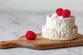 Camembert french soft cheese served with raspberries Royalty Free Stock Photo